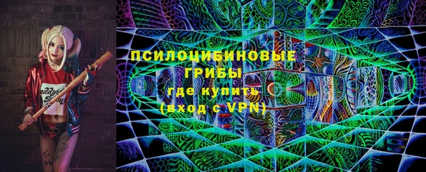 прущий лед Алзамай