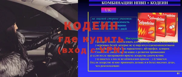 прущий лед Алзамай